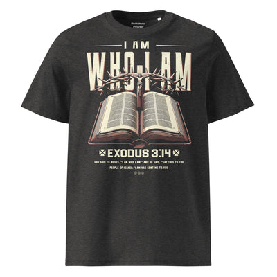 Graphic workout t shirts with bold crhistian artwork